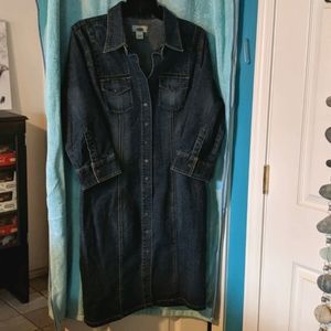 Denim snap front dress